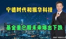 科技基金最新爆料,揭秘未来科技投资新风向